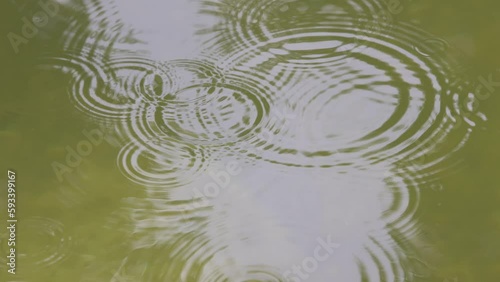 raindrops fall into the water,slow motion,raindrops create small waves on the water surface,