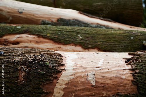 Pile of chopped down logs lying horizontal lengthwise