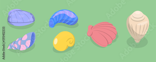 3D Isometric Flat Vector Set of Seashells, Ocean Cockleshells