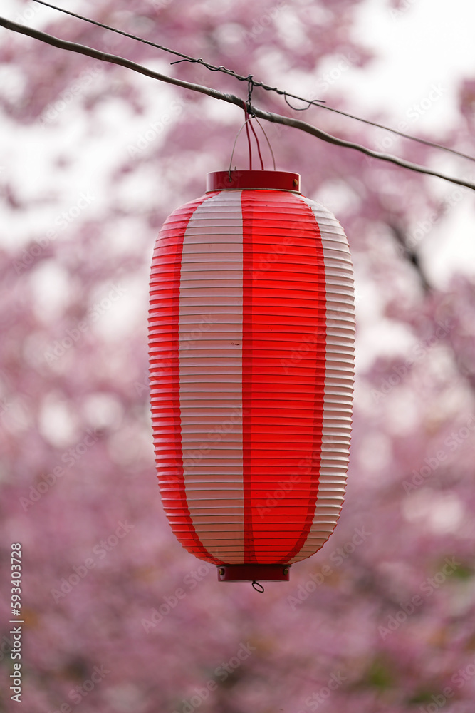 Obraz premium 霞ヶ城