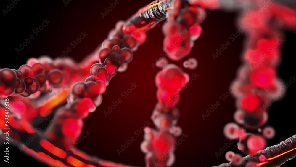 DNA molecule from particles Translucent black and red Selective focus. on red black background and green screen. Science or cosmetics industry concept. Element animation, 3d render. DNA molecule from particles Translucent black and red Selective focus. on red black background and green screen. Science or cosmetics industry concept. Element animation, 3d render.