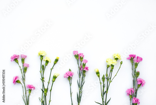 Top view of five blooming carnation flowers designed as one side bootm frame on white background. Flat lay, copy space, top view. Three pink and two yellow flowers