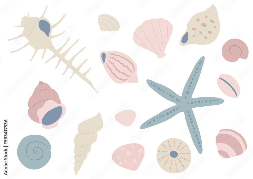 柔らかい色合いのいろいろな貝のイラスト