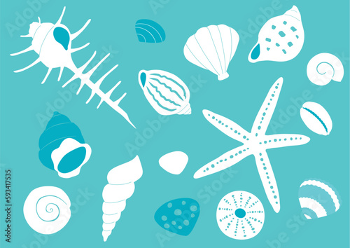 色々な貝殻のイラスト © perisuta