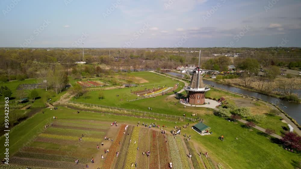 Aerial view of Windmill island gardens in Holland Michigan during spring time, with tulip fields in bloom.