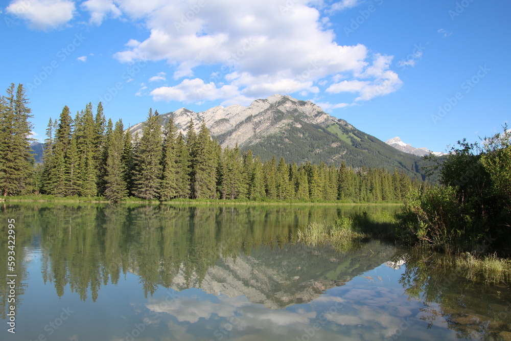 Reflections On The River, Banff National Park, Alberta