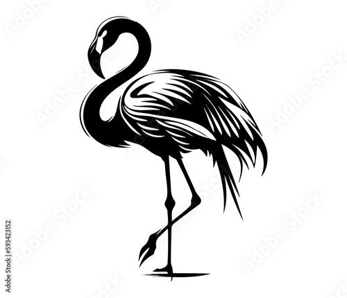 Flamingo, Silhouettes Flamingo SVG, black and white Flamingo vector