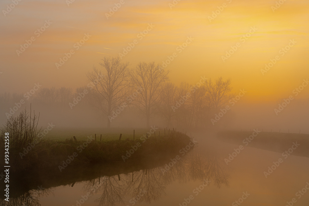 Fototapeta premium Tree in the mist at the river