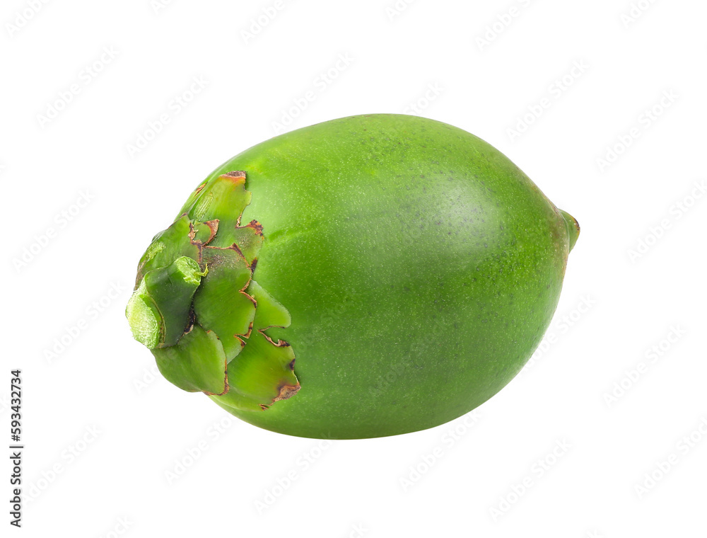 Fresh betel nut isolated on transparent png Fresh betel nut isolated on transparent png