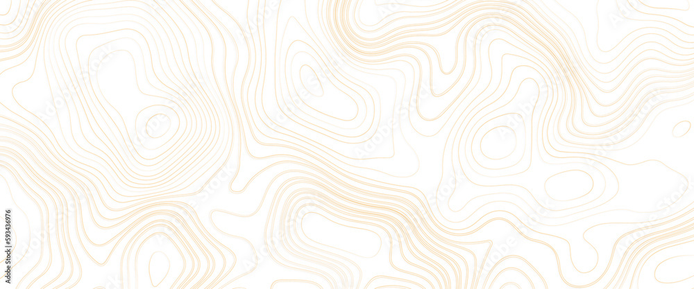 Topographic map background geographic line map with elevation assignments. Topographic map and landscape terrain texture grid. Wavy banner and color geometric form. Vector illustration. Topographic map background geographic line map with elevation assignments. Topographic map and landscape terrain texture grid. Wavy banner and color geometric form. Vector illustration.