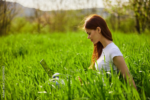 woman on the meadow relaxing and using a laptop photo