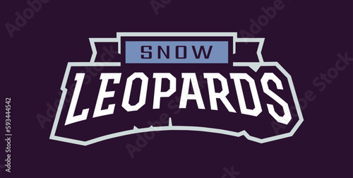 Bold sports font for snow leopard mascot logo. Text style lettering for esport, snow leopard mascot logo, sport team, college club. Font on ribbon. Vector illustration isolated on background