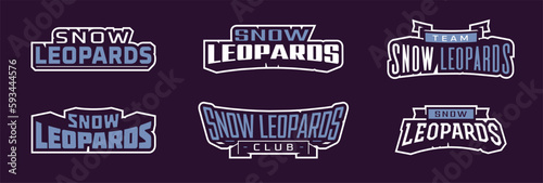 A set of bold fonts for snow leopard mascot logo. Collection of text style lettering for esports, mascot logo, sports team, college club logo. Font on ribbon. Isolated vector illustration