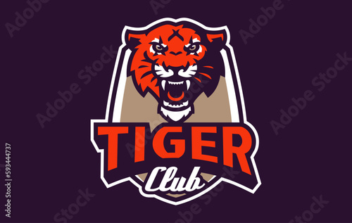 Sports logo with tiger mascot. Colorful sport emblem with tiger mascot and bold font on shield background. Logo for esport team  athletic club  college team. Isolated vector illustration