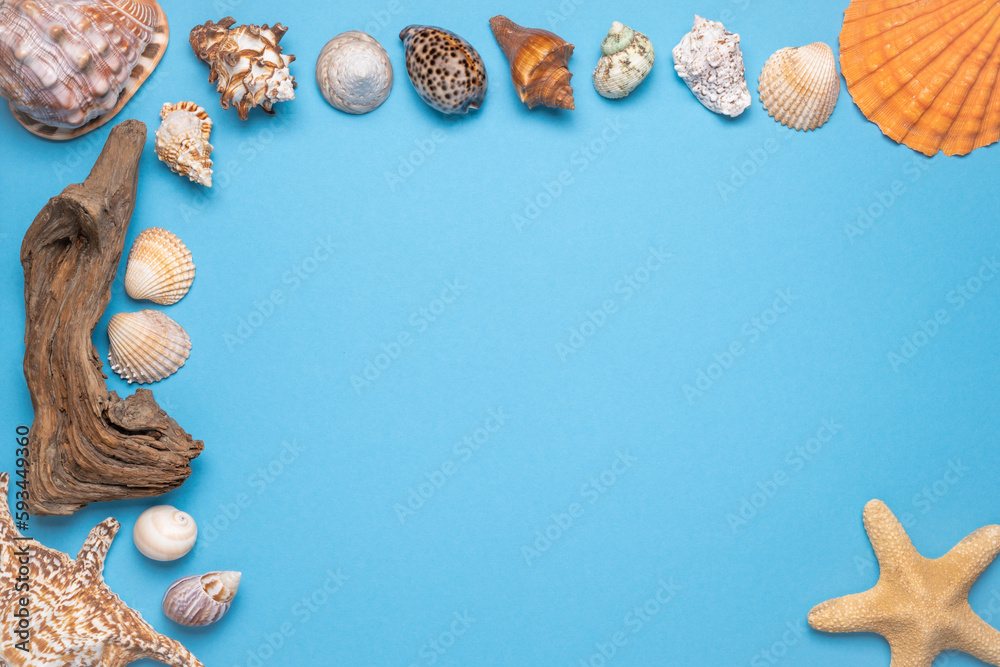 Summer flat lay, Frame with seashells, driftwood and starfish on blue background. Summer flat lay, Frame with seashells, driftwood and starfish on blue background.
