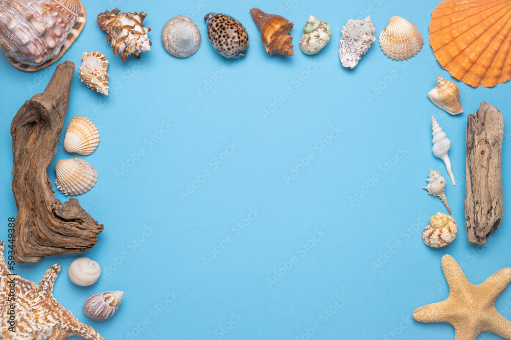 Summer flat lay, Frame with seashells, driftwood and starfish on blue background. Summer flat lay, Frame with seashells, driftwood and starfish on blue background.