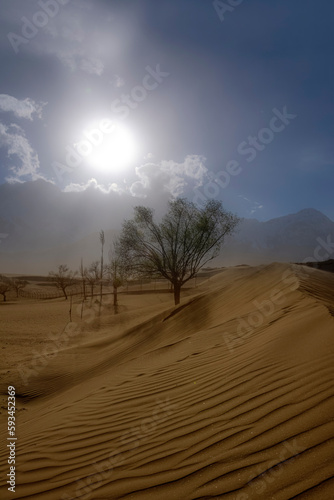 desert in the snow mountains, cold desert and snow peaks, landscape of dune desert and snow caped mountains 