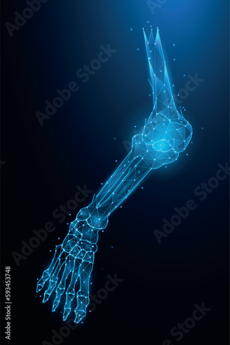 Polygonal vector illustration of the leg bones. Abstract anatomical concept of the lower limb. Knee and ankle joint Polygon Art.