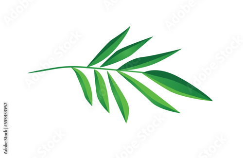 Concept Jungle botany plant branch leaf. A concept of a lush jungle is beautifully represented in this flat  vector illustration. Vector illustration.