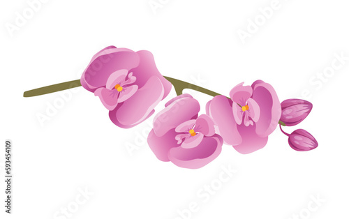 Concept Jungle botany plant branch flower. This illustration features a pink orchid, rendered in a flat and colorful cartoon style. Vector illustration.