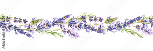 Watercolor botanical illustration. Seamless border with purple lavender wildflowers. Fragrant herb bouquet. Hand drawn isolated on a white background. For creating tapes, ribbons and edges on fabric