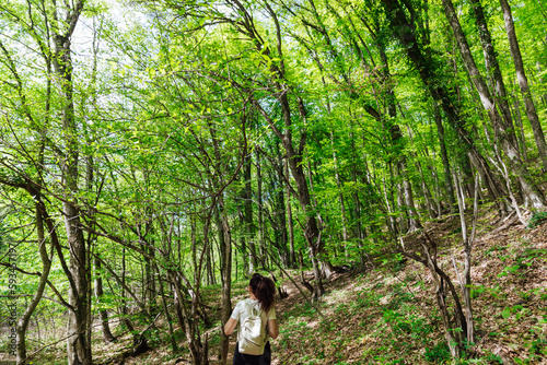 a woman with a backpack walks on the road in the woods hiking journey on foot