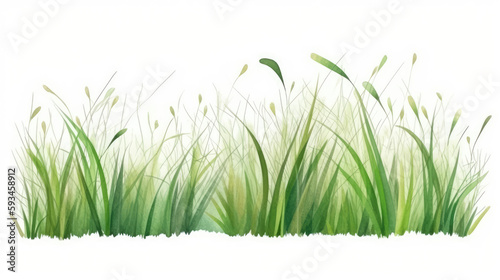 Vector watercolor of green grass side view 4 isolated on white background 