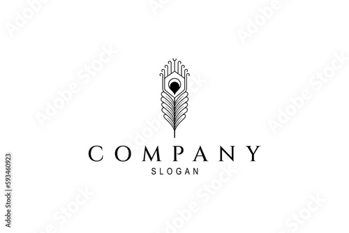Peacock feather logo in linear design style