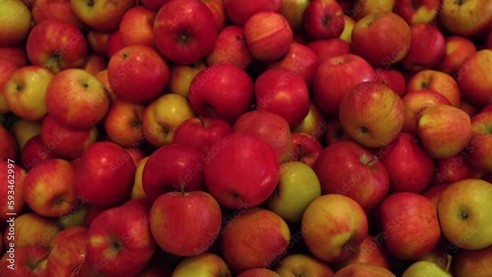Apples in Wood Crates Ready for Shipping. Cold Storage Interior. Large Distribution Warehouse with Apples. Video Footage for Advertising. Juice, Cider, Vinegar Production. Food Factory. Fruit Industry Apples in Wood Crates Ready for Shipping. Cold Storage Interior. Large Distribution Warehouse with Apples. Video Footage for Advertising. Juice, Cider, Vinegar Production. Food Factory. Fruit Industry