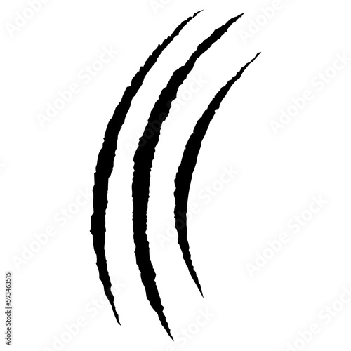 Animals claw scratches. Wild animals concept. Vector illustration