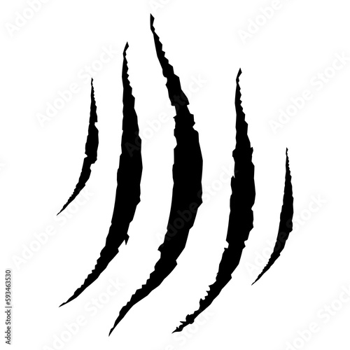 Animal claw scratches. Talons cuts animal cat, dog, tiger, lion. Vector illustration