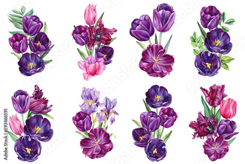 Watercolor tulips. Set of multicolored garden flowers on isolated white background  beautiful watercolor illustration