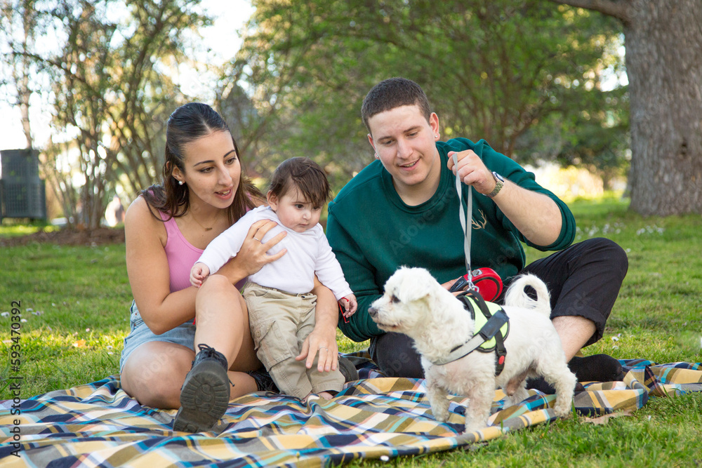 couple picnicking in the park with their toddler and playing with their dog on the grass couple picnicking in the park with their toddler and playing with their dog on the grass