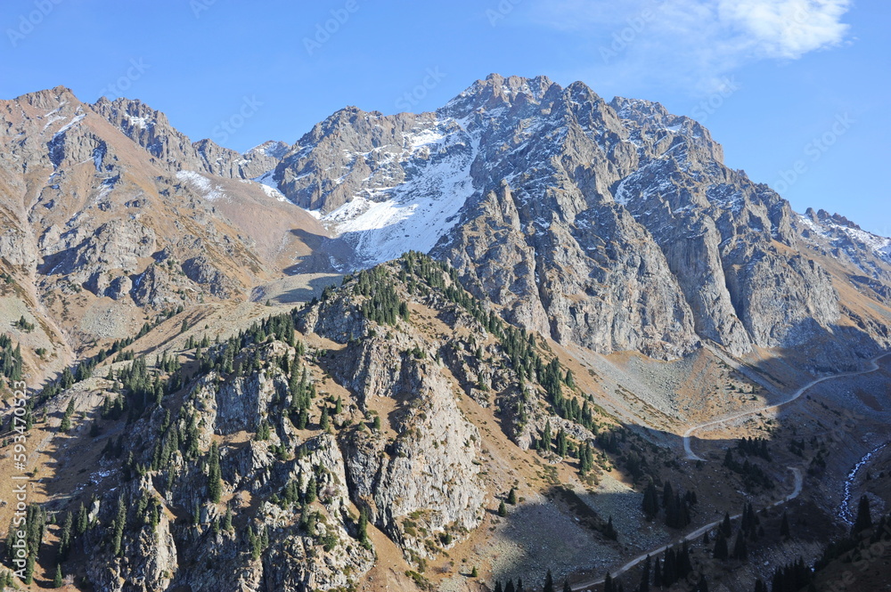 Mountain ranges with different trees and coniferous firs.