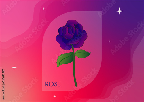 bule rose with pink blue gradient and gleaming little star 