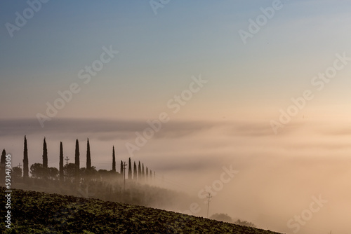 Picturesque misty morning with thick fog over the valley in Tuscany, Italy. Row of cypress trees makes all look like a fairy-tale.