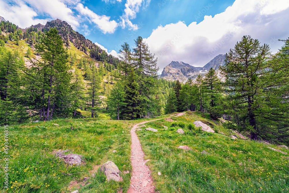 Fototapeta premium Mercantour National Park in France