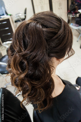Photo of a stylish female vintage hairstyle, Greek braid, on the back of the girl's head. Image for your creative decoration or design.