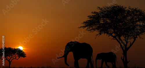 Silhouettes of african wild animals at sunset. Evening in African savanna.
