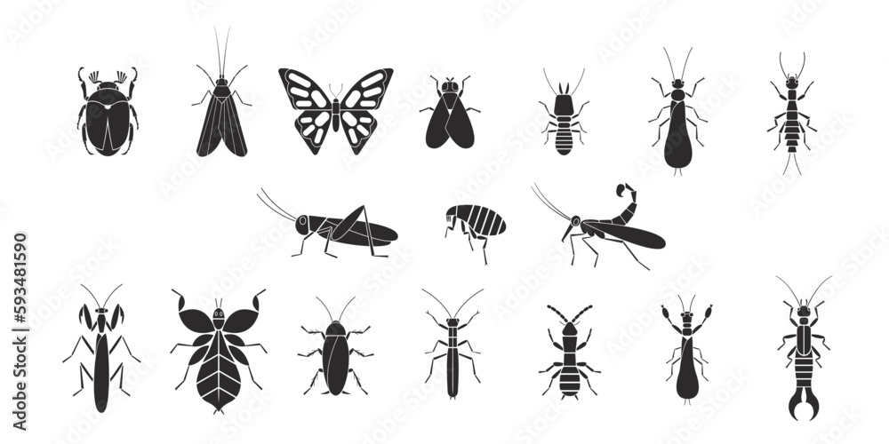 Insects orders geometric icons set. Vector illustration Insects orders geometric icons set. Vector illustration