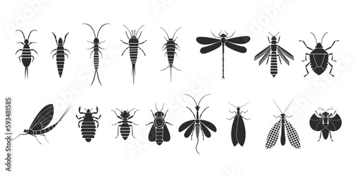 Insects orders geometric icons set. Vector illustration photo