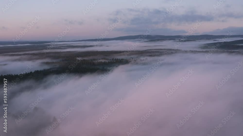 Forest at sunrise with fog in autumn, Upper Palatinate, Germany Forest at sunrise with fog in autumn, Upper Palatinate, Germany