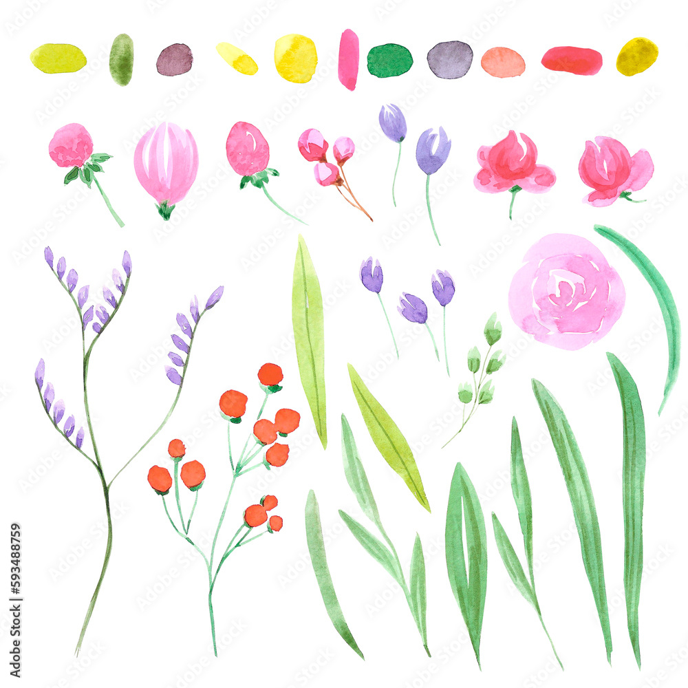 Abstract flowers. Hand drawn watercolor isolated on white background. Can be used for cards, patterns, label.
