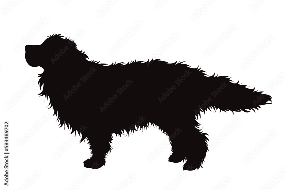 Vector silhouette of Bernese Mountain Dog on white background. Vector silhouette of Bernese Mountain Dog on white background.