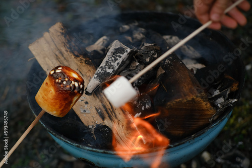 burning fire in compact grill, wood logs engulfed in red flames, closeup of fry marshmallows on fire, smoke rises, concept of fun party, happy childhoodfamily activity, cooking delicacy outdoors
