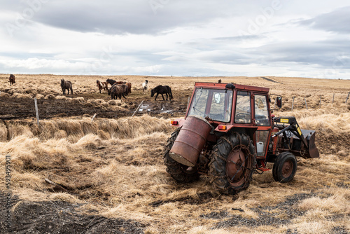 Icelandic landscape, Iceland photo