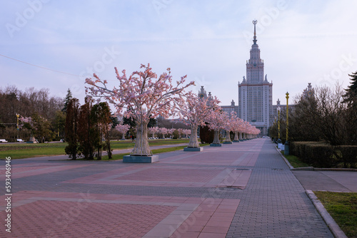 Moscow  state university