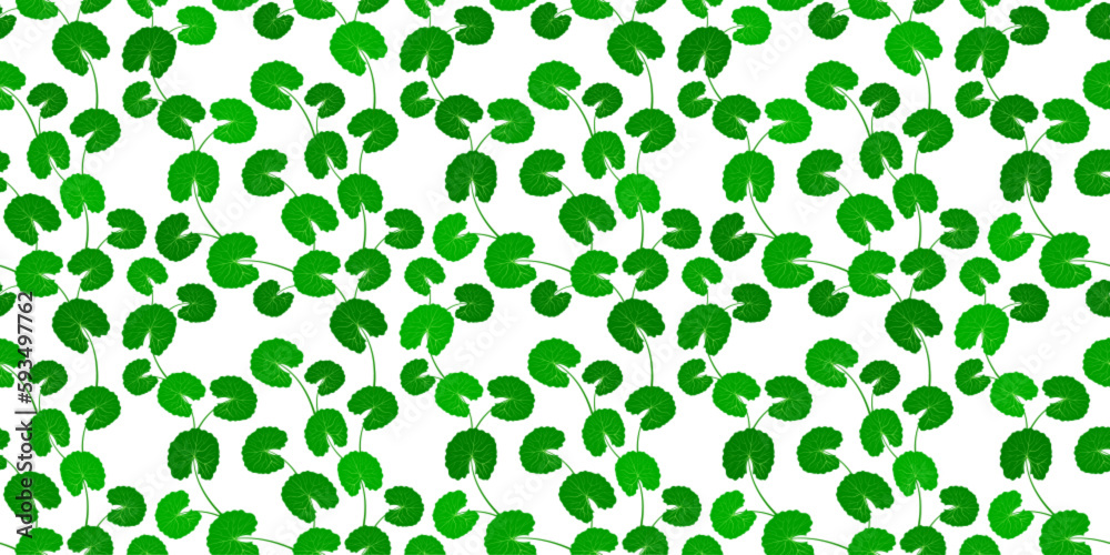 Asian pennywort endless texture. Gotu kola repeated background.Centella asiatica seamless pattern vector illustration. Fresh green leaf for organic cosmetics, eco natural products backdrop. Asian pennywort endless texture. Gotu kola repeated background.Centella asiatica seamless pattern vector illustration. Fresh green leaf for organic cosmetics, eco natural products backdrop.