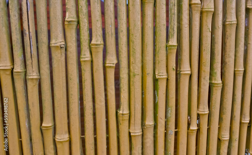 Natural bamboo wall pattern