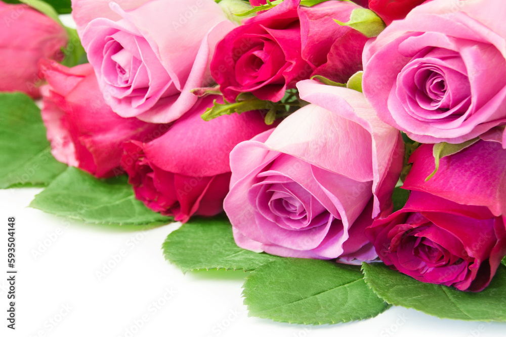 Bouquet of red and pink roses close up on white background Bouquet of red and pink roses close up on white background